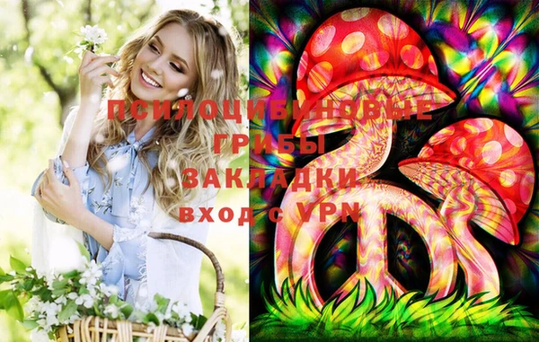 spice Алексин