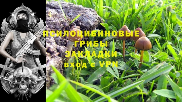 дурь Алзамай