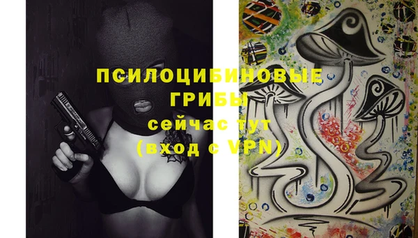 spice Алексин